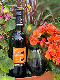 Suhru Wines 2019 Cabernet Franc