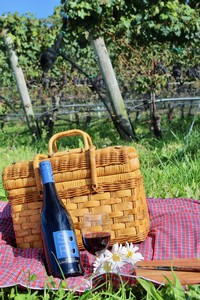 Suhru Wines Picnic