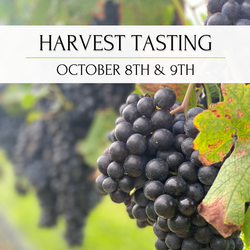 Suhru Wines, Harvest Tasting